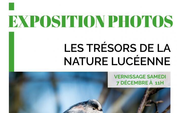 Exposición “Tesoros de la naturaleza luceana” en el ayuntamiento