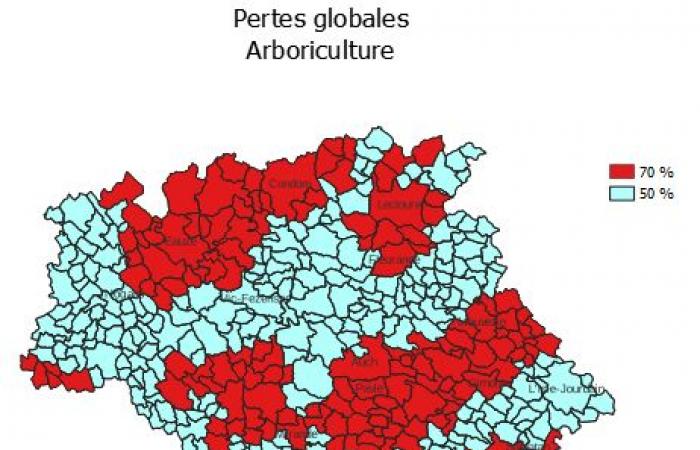 AGRICULTURA | Desgravación del impuesto sobre bienes inmuebles no urbanizables (TFNB) – Notas de prensa – Sala de prensa – Publicaciones