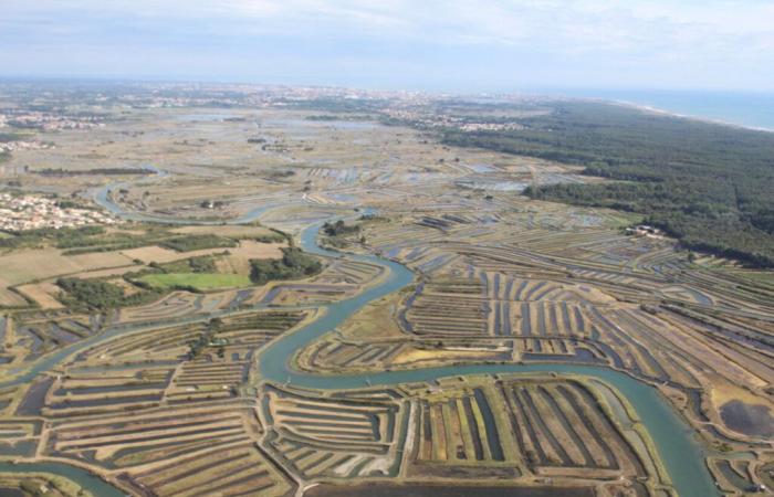 este alcalde de Vendée continúa su enfrentamiento con Free