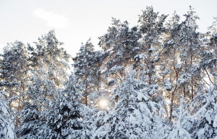 detalles sobre el frio y la lluvia