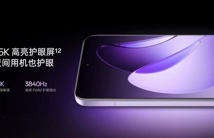 Oppo ha presentado los teléfonos inteligentes Reno13 y Reno13 Pro, que cuentan con un nuevo chipset Dimensity 8350 y protección IP69.