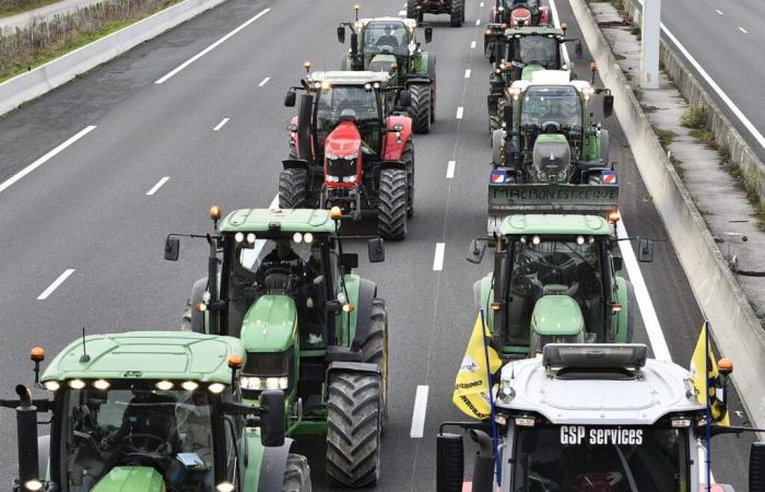 ¡Nuevas acciones hasta el jueves! Un convoy de camino a Estrasburgo