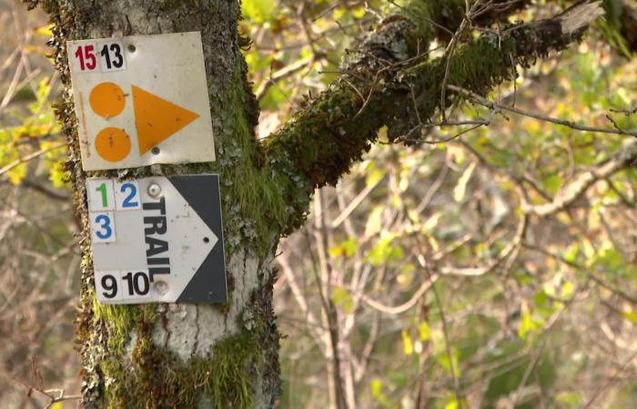 “Parisinos, tolosanos, lioneses, bretones, algunos extranjeros…” Le Loup Blanc, una ruta a escala nacional en plena preparación