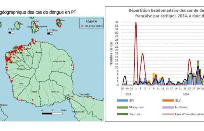 Epidemia comprobada de dengue en Tahití y Moorea • TNTV Tahiti Nui Télévision