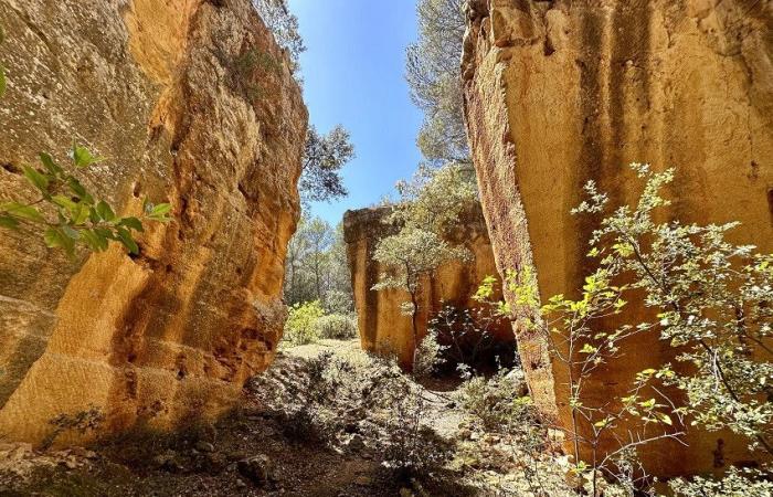 Exposiciones, recorridos por la ciudad, visitas inmersivas… Aix-en-Provence prepara un grandioso homenaje a Cézanne