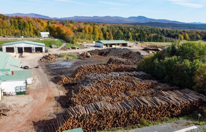 Industria de la madera | Un arancel sería un “desastre” para los aserraderos de Quebec