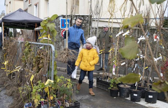 Pese a la nieve y el temporal, esta feria de Orne sobrevive: “Era complicada”