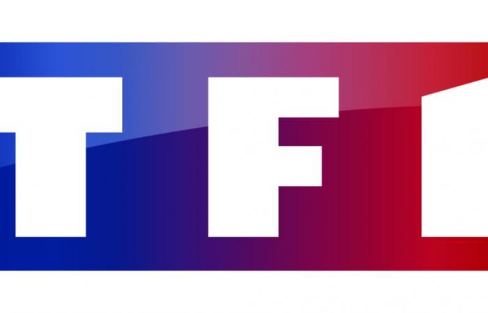 TF1 se asocia con Netflix para cotransmitir una serie diaria en 2025