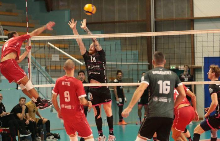 Voleibol: en la Copa de Francia, los Centurions Narbonne pasan a Martigues