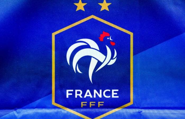 Por qué se detiene esta figura de la selección de Francia