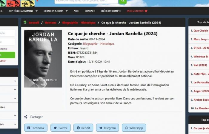 El libro de Jordan Bardella, “Lo que estoy buscando”, triunfa en las plataformas de descarga ilegal