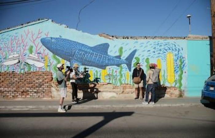 “Dos héroes oscuros en México”: descubre los placeres ocultos de México con Benoît Roberge y Jean-Michel Dufaux