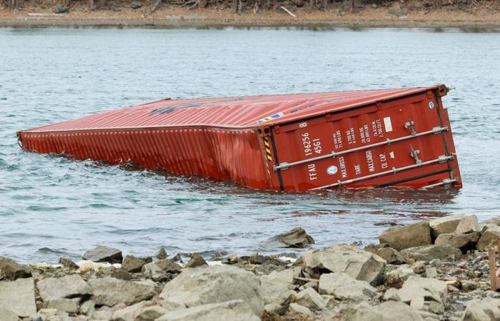 Contenedor de ositos de peluche retirado del río San Lorenzo