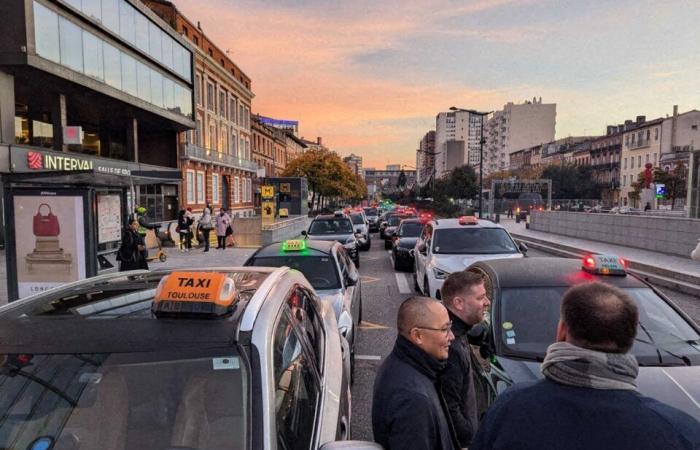 Entre la recogida y el filtrado de presas, los taxis se movilizaron en Toulouse