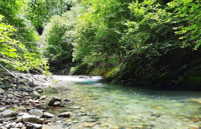 Un hombre encontrado muerto en su coche al pie del Gave de Lourdios en Issor