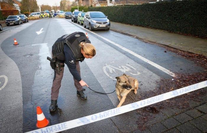 Un hombre dispara desde un coche a otro coche en Berchem: un estudiante presenció el tiroteo, el sospechoso se dio a la fuga (Berchem)