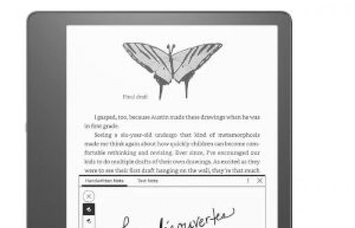 ¿Qué lector electrónico Kindle comprar para leer tus libros favoritos?