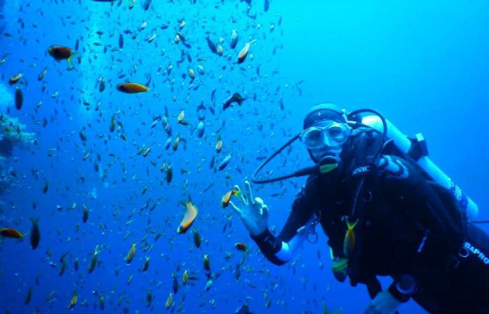 Una mujer suiza advierte sobre las deficiencias de seguridad en los barcos de buceo