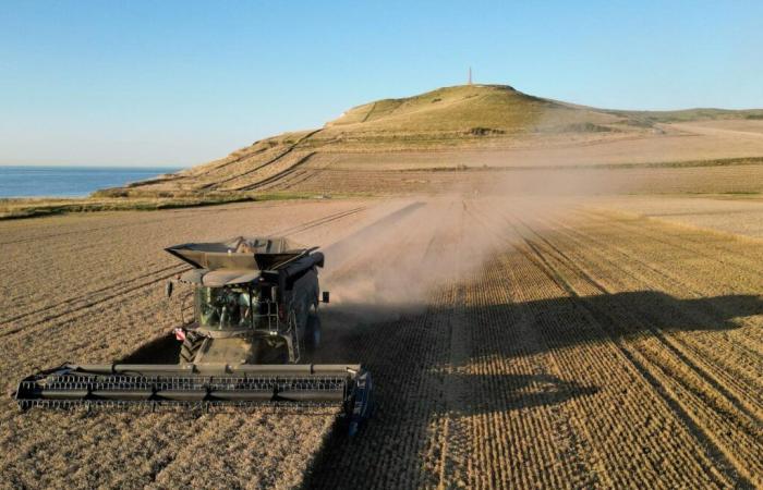 “Para salvaguardar la agricultura familiar, debemos volver a regular los precios, el comercio y la producción”