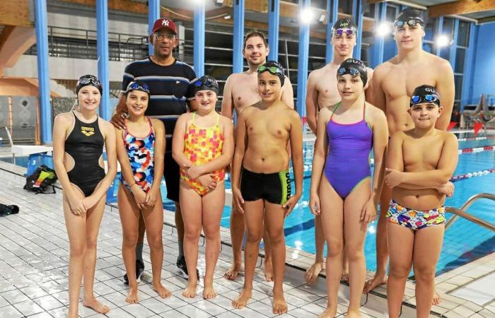 En Guingamp, los nadadores desafían el cansancio para ir a la piscina