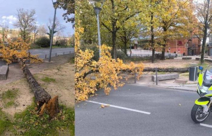 Tormenta Bert: daños impresionantes en Auvernia-Ródano-Alpes