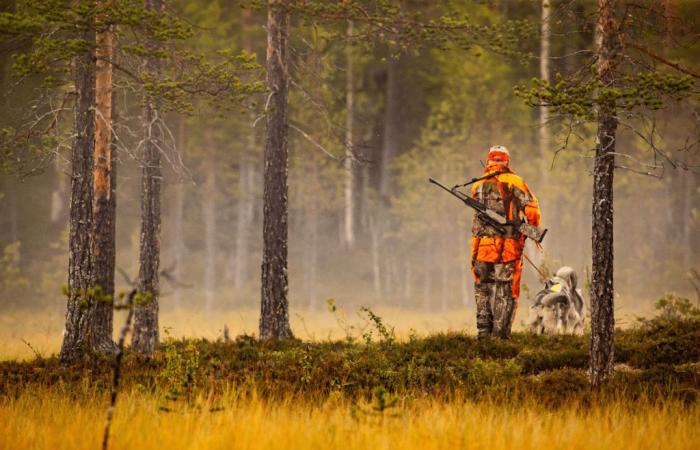 En Drôme, un cazador encontrado muerto durante una cacería