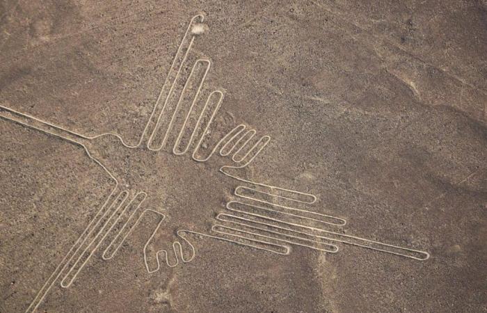 Las nuevas Líneas de Nazca