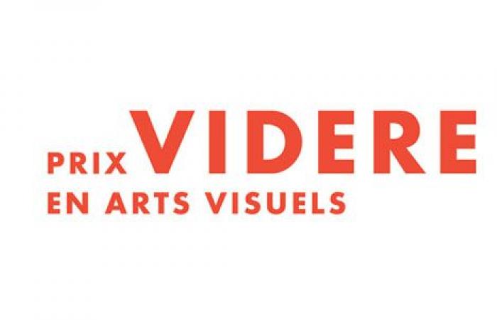 Manif d’art anuncia los ganadores de los Premios Videre