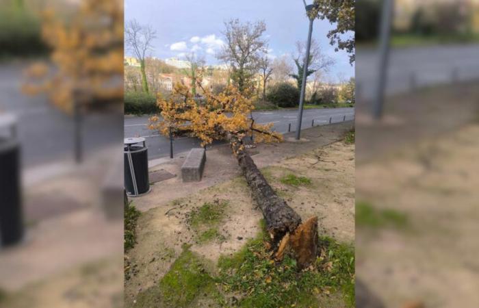 Tormenta Bert: daños impresionantes en Auvernia-Ródano-Alpes