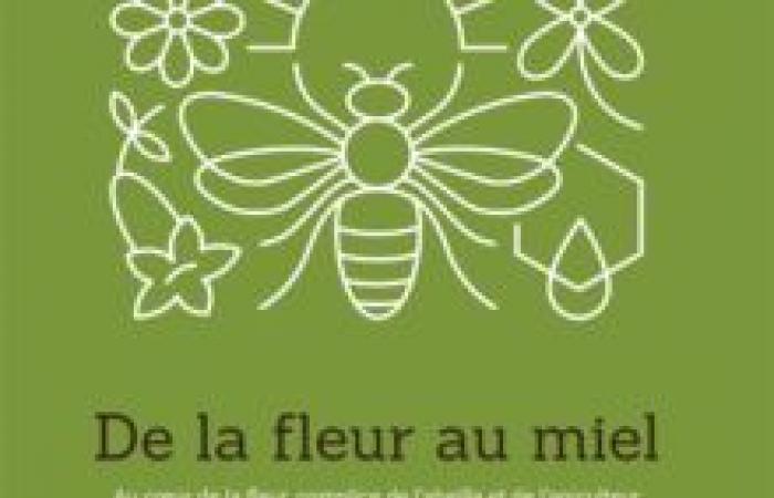 De la flor a la miel – En el corazón de la flor, cómplice de la abeja y el apicultor – Tela Botánica