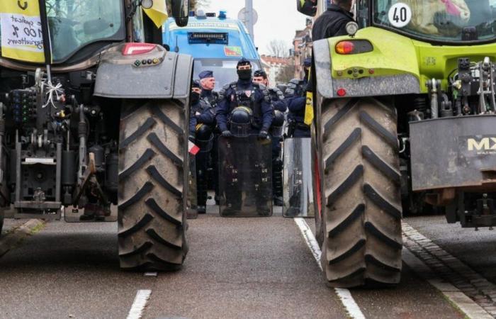 Los tractores de Coordinación Rural llegaron cerca del Parlamento Europeo en Estrasburgo