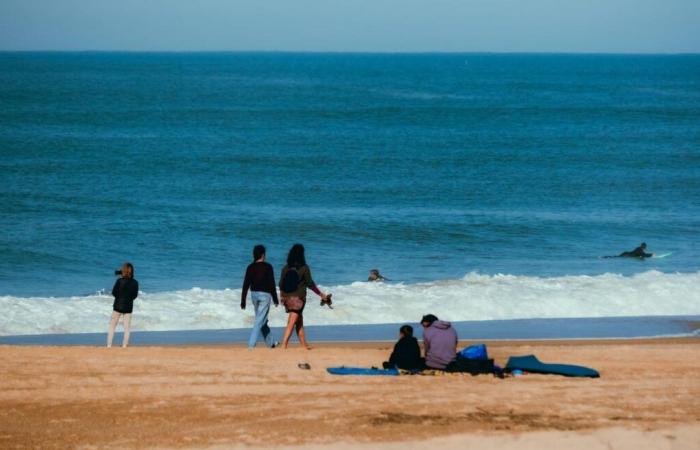 El número de turistas cae un 1,3% durante las fiestas de Todos los Santos