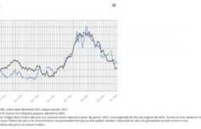 El INSEE confirma una caída del 0,2% de los precios al consumo en octubre de 2024