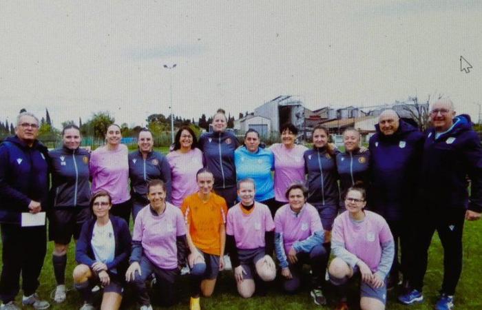 Una asociación en el campo en beneficio del cáncer de mama