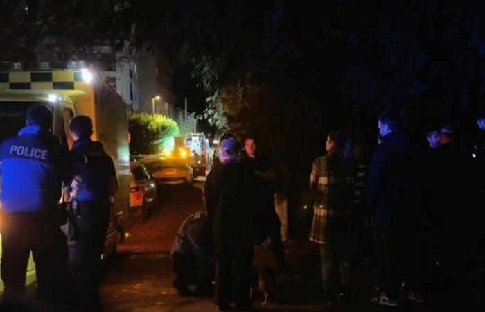 Una joven gravemente herida tras una explosión en Ginebra – rts.ch