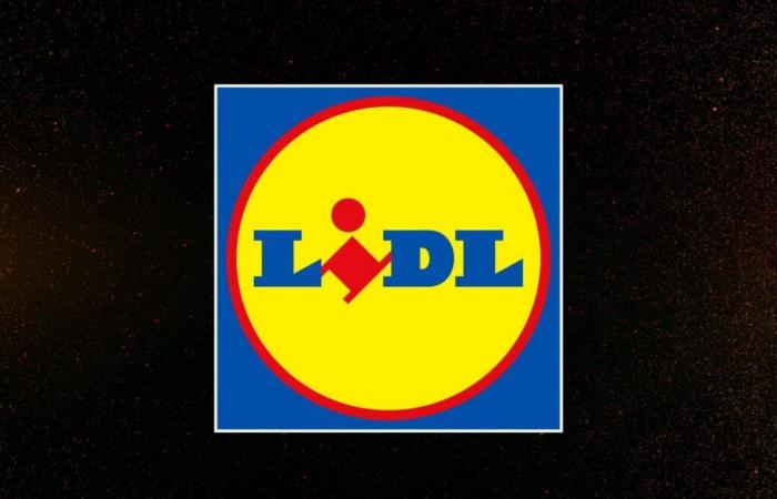 ¿Quién hubiera imaginado que Lidl ofrecería precios tan bajos para el Black Friday 2024?