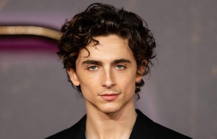 Timothée Chalamet podría haber protagonizado Gladiator 2, pero Ridley Scott decidió lo contrario tras ver esta serie