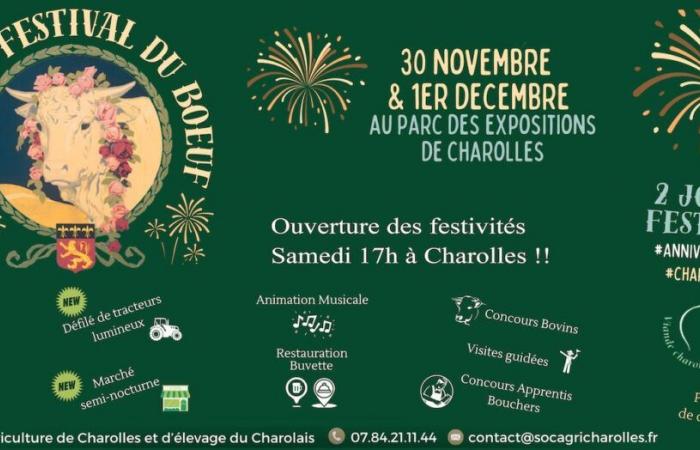 CHEVIGNY-SAINT-SAUVEUR: Conferencia sobre endometriosis el 4 de diciembre