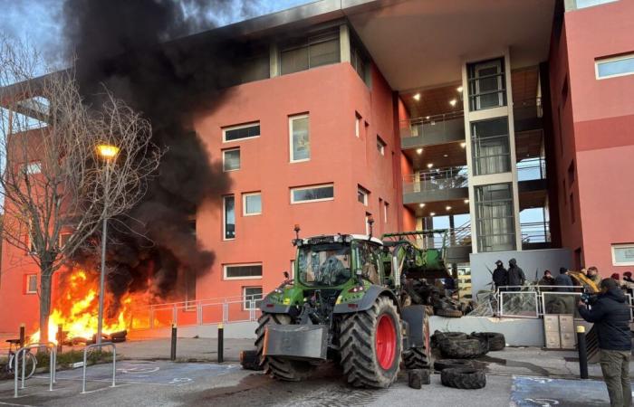 En Nimes y Saint-Gilles, los agricultores del Gard han endurecido su tono – Noticias