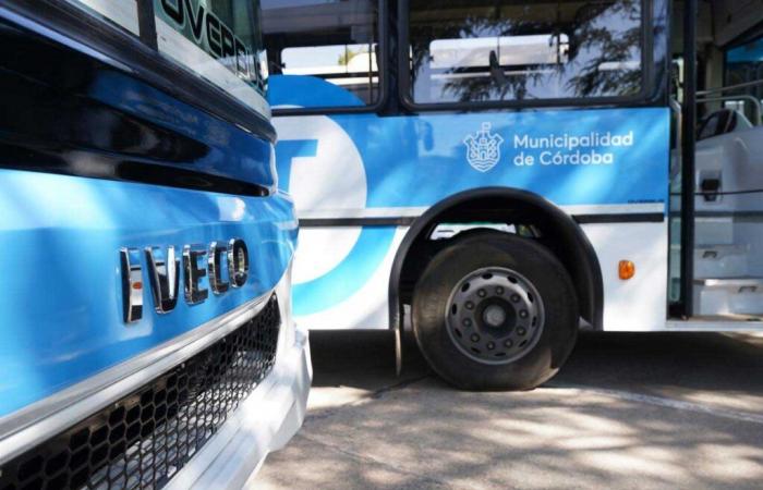 Iveco entregó una primera flota de buses a gas natural a Argentina