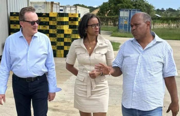 Guyana: Visita del presidente de la UDE-MEDEF Guadalupe para poner en común cuestiones