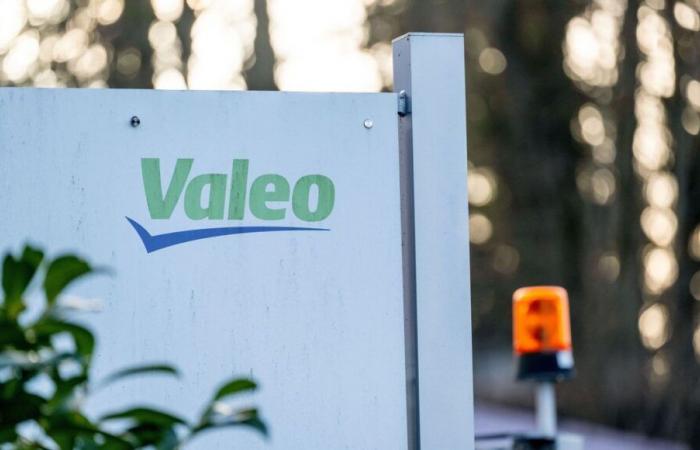 Automoción: Valeo anuncia la eliminación de 868 puestos en Francia