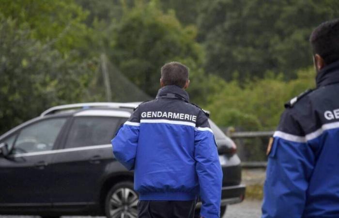 Conducía bajo los efectos del cannabis, la cocaína y los opiáceos en Deux-Sèvres.