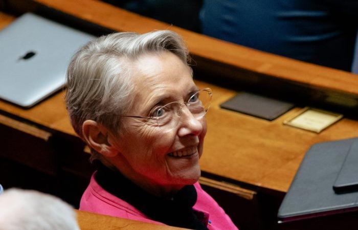 Acuerdo del Mercosur: los diputados votaron por el rechazo del acuerdo comercial, no Elisabeth Borne que presionó el botón equivocado