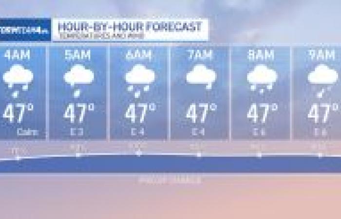 Se espera lluvia para el desfile, luego llega el frío invernal – NBC New York