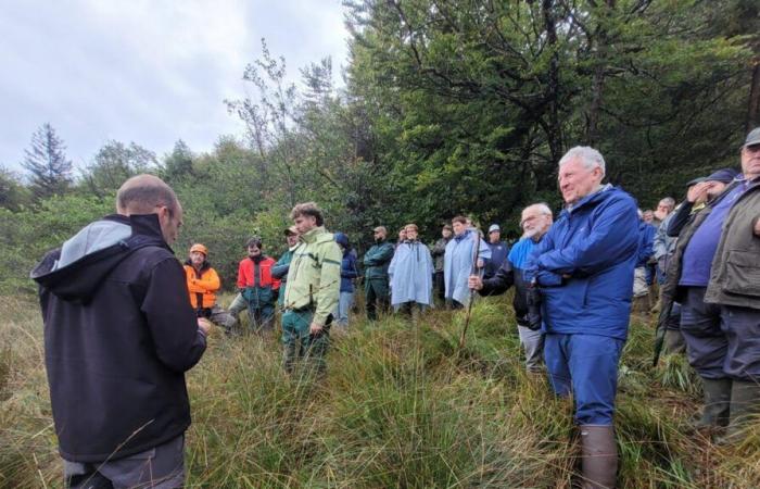 en Auberive, una gestión forestal diferente y beneficiosa