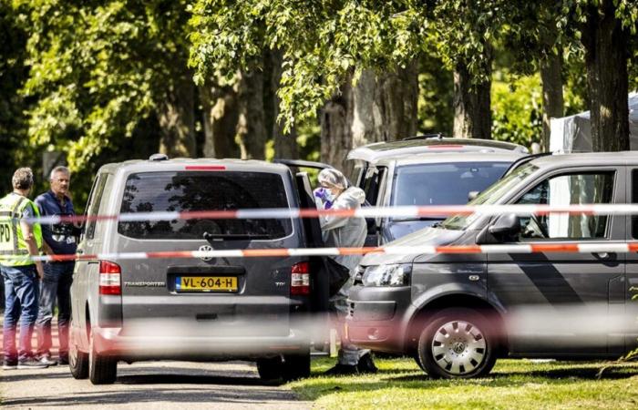 Donny, de 22 años, violó y mató a una niña de 9 años en Holanda el pasado mes de junio: se conoce su sentencia