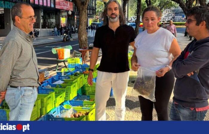 Placa Central Bio Market con nuevos puestos — DNOTICIAS.PT