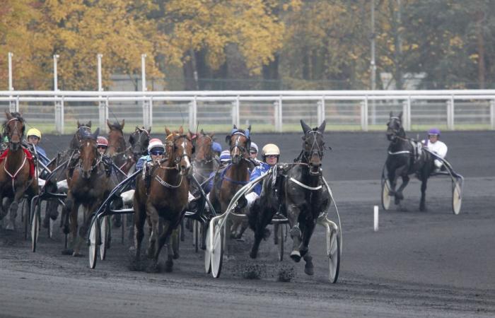 Las predicciones para el Quinté de Vincennes para el 28 de noviembre de 2024 por Pascale Remond-Lamie