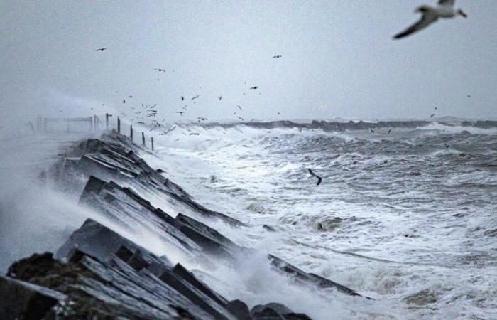 Se esperan fuertes vientos en los Países Bajos con la llegada de la tormenta Conall: ¿existe algún riesgo para Bélgica?